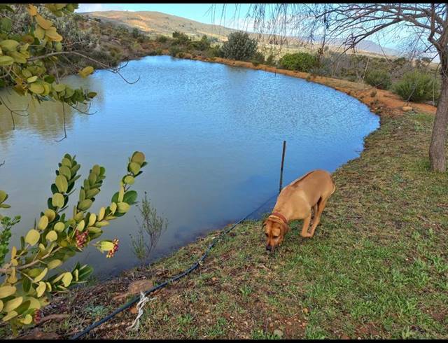 FARM FOR SALE IN PIKETBERG RURAL